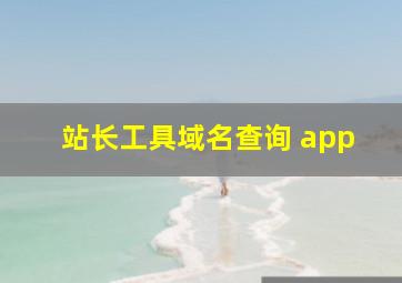 站长工具域名查询 app